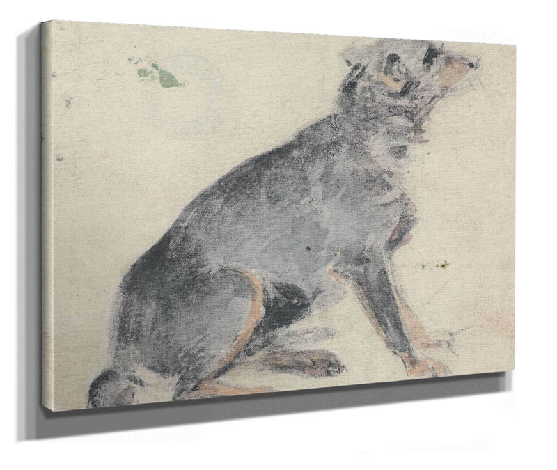 Study Of A Dog S by David Cox