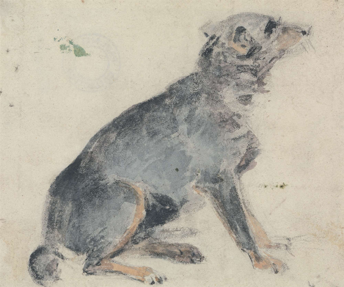 Study Of A Dog S by David Cox
