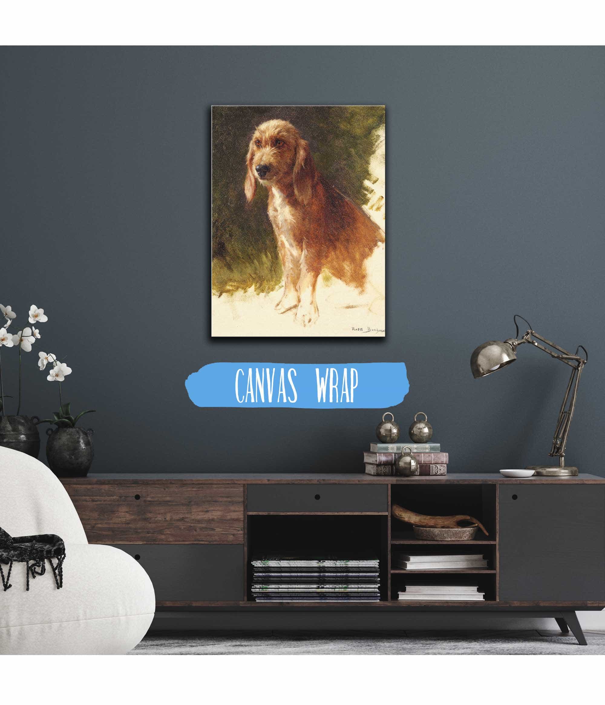 Study Of A Dog S by Rosa Bonheur