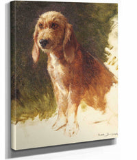 Study Of A Dog S by Rosa Bonheur