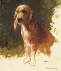 Study Of A Dog S by Rosa Bonheur