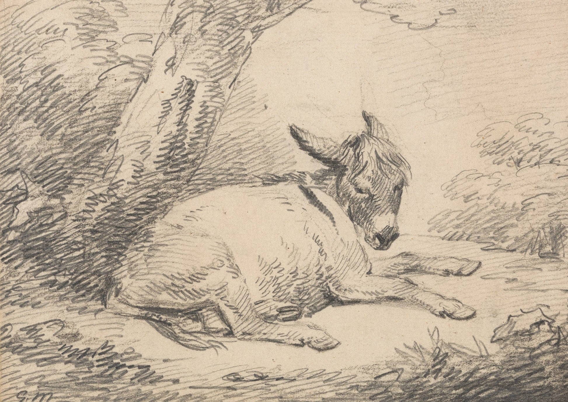 Study Of A Donkey Under A Tree After by George Morland