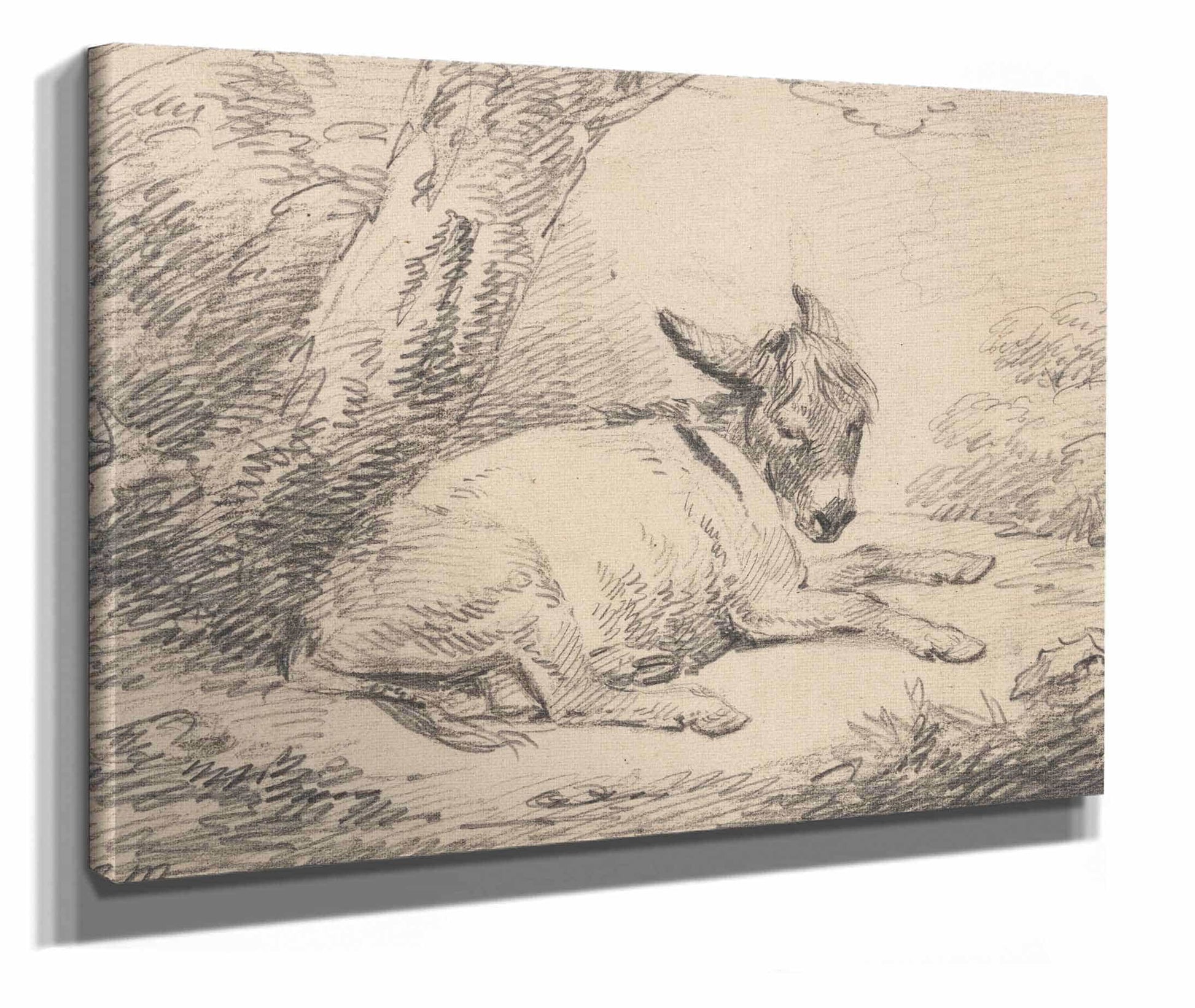 Study Of A Donkey Under A Tree After by George Morland