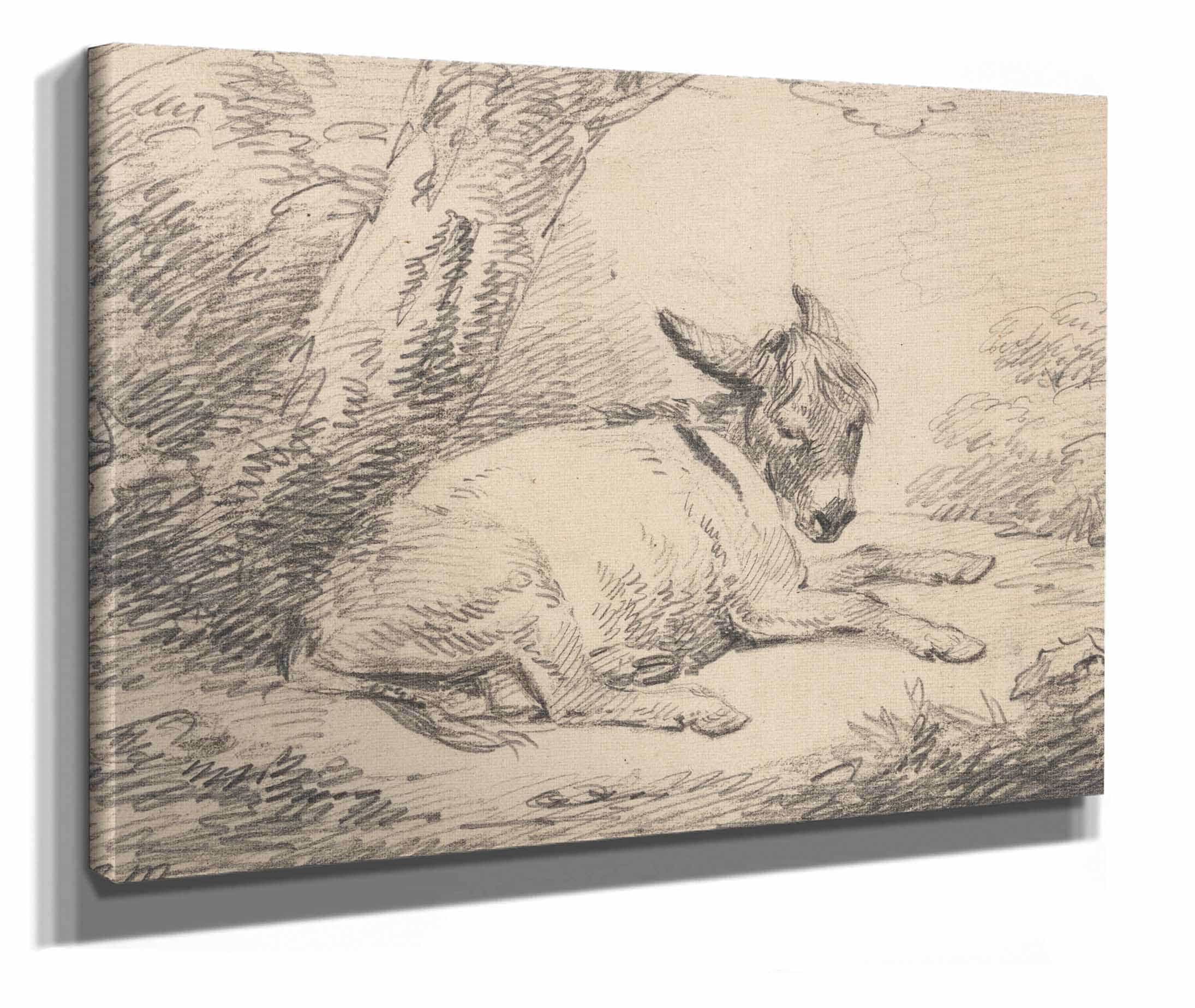Study Of A Donkey Under A Tree After by George Morland