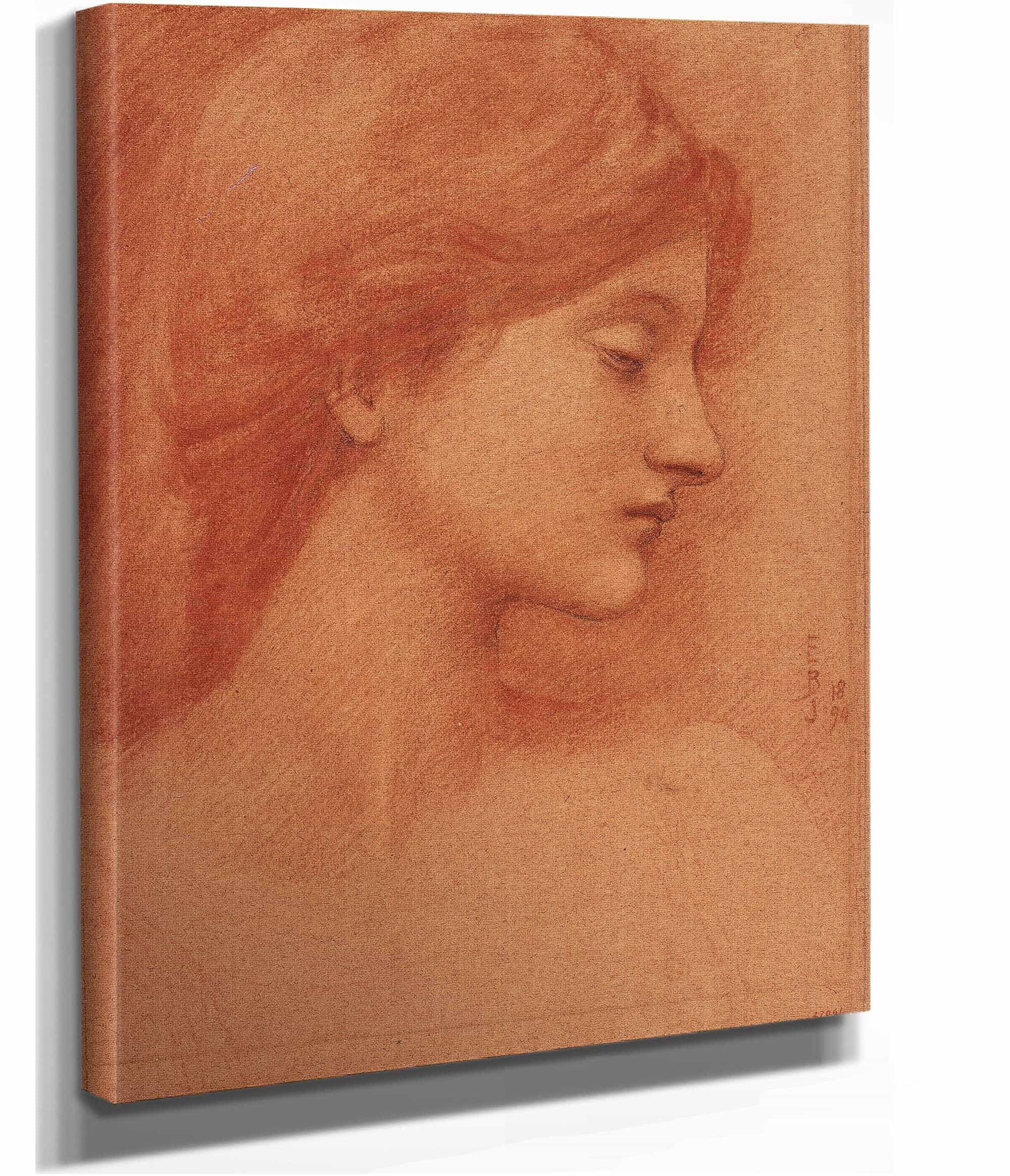 Study Of A Female Head by Sir Edward Coley Burne Jones