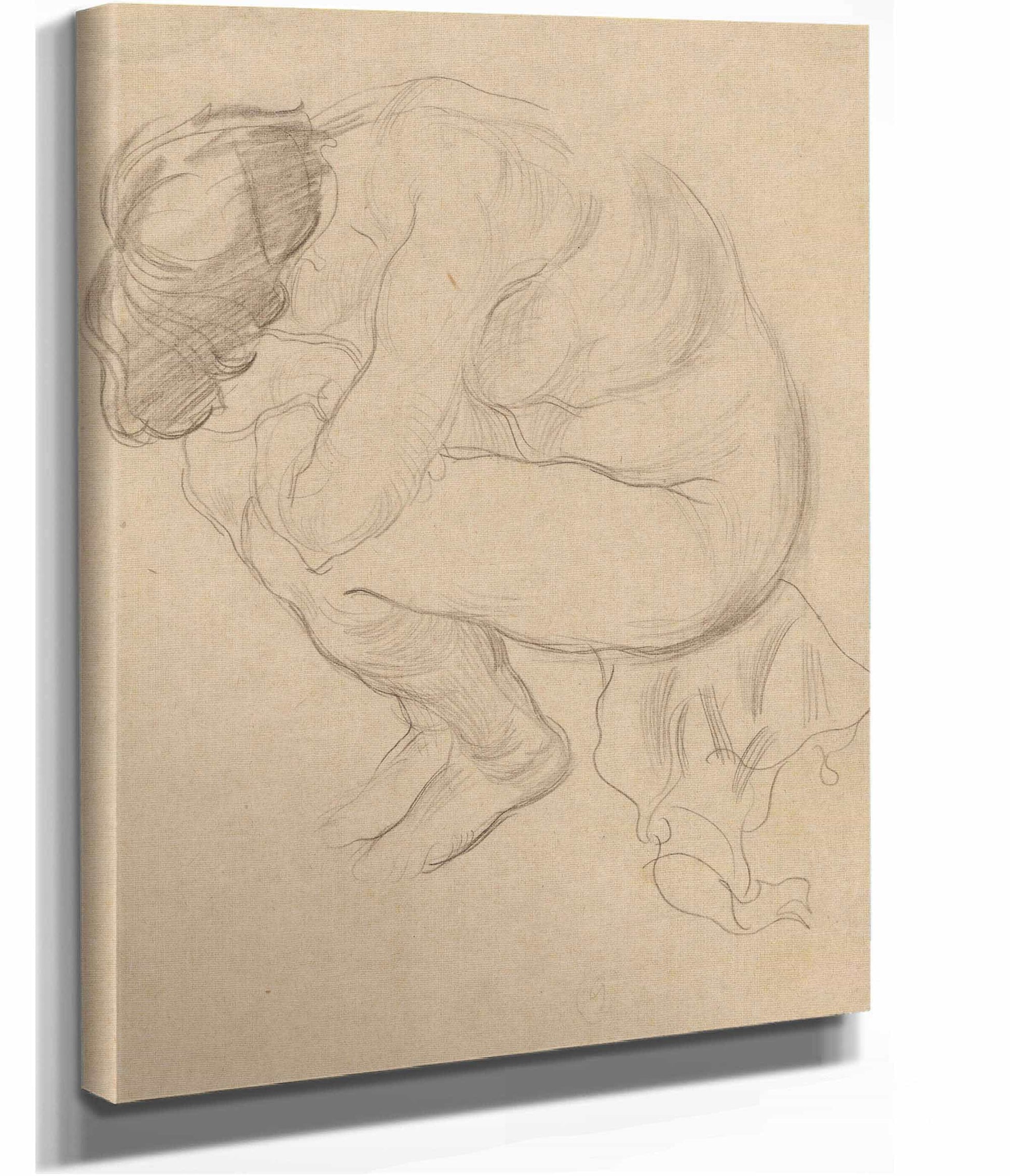 Study Of A Female Nude by Zygmunt Waliszewski