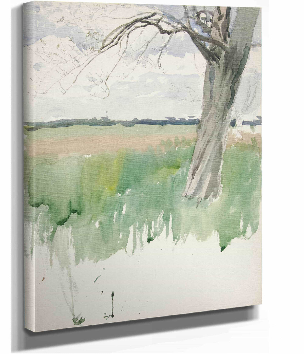 Study Of A Field And Tree by Edwin Austin Abbey