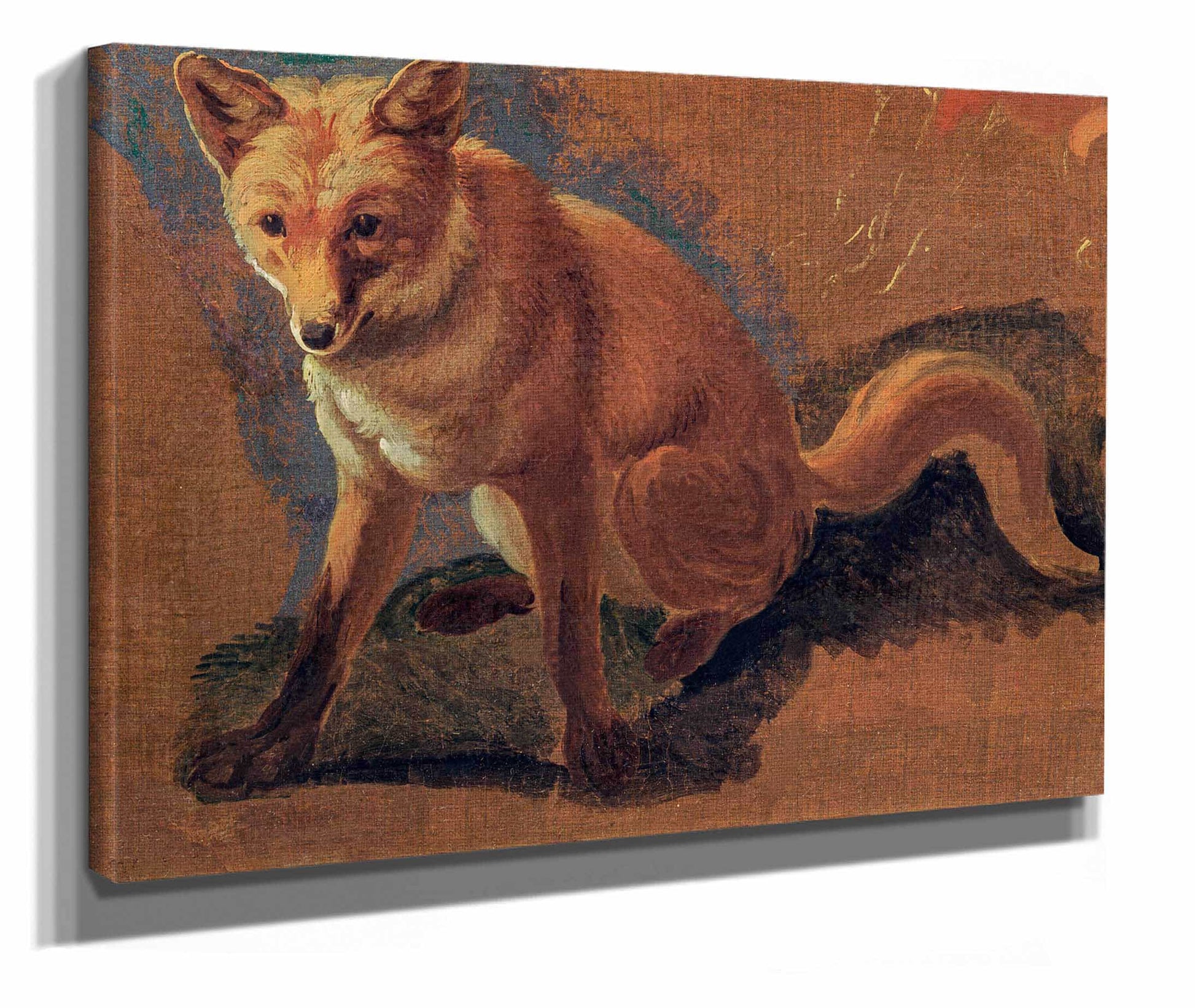 Study Of A Fox  by Jacques Laurent Agasse