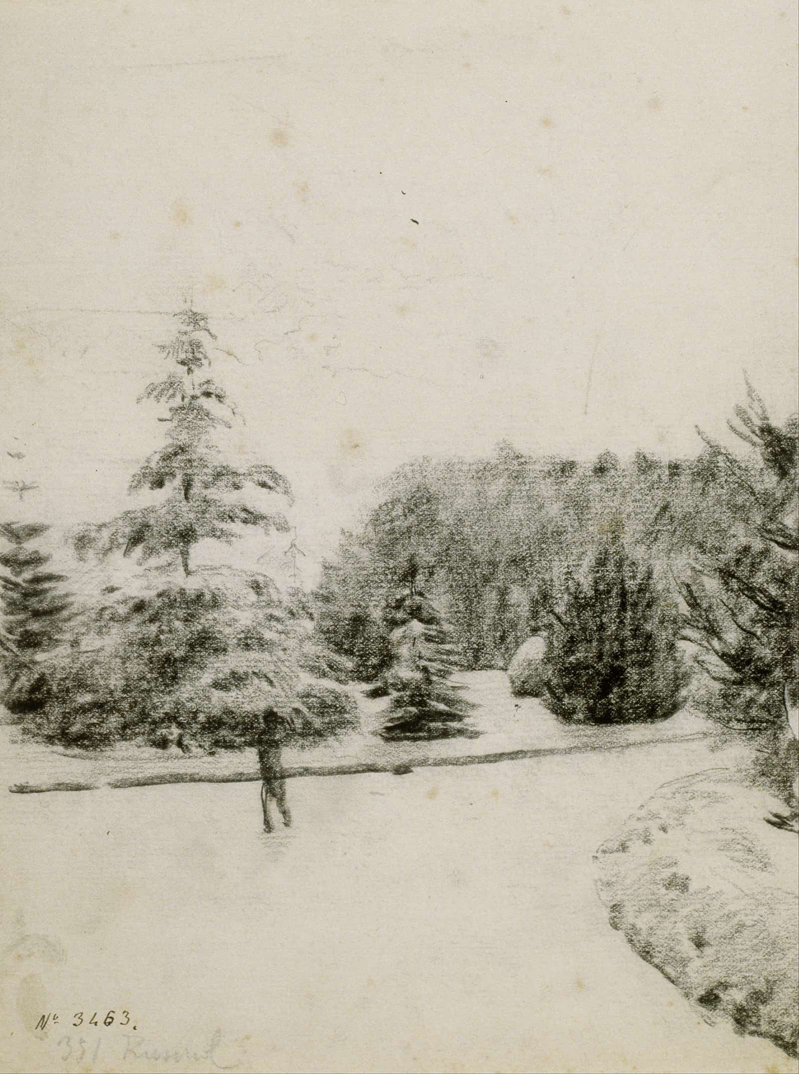 Study Of A Garden by Santiago Rusinol