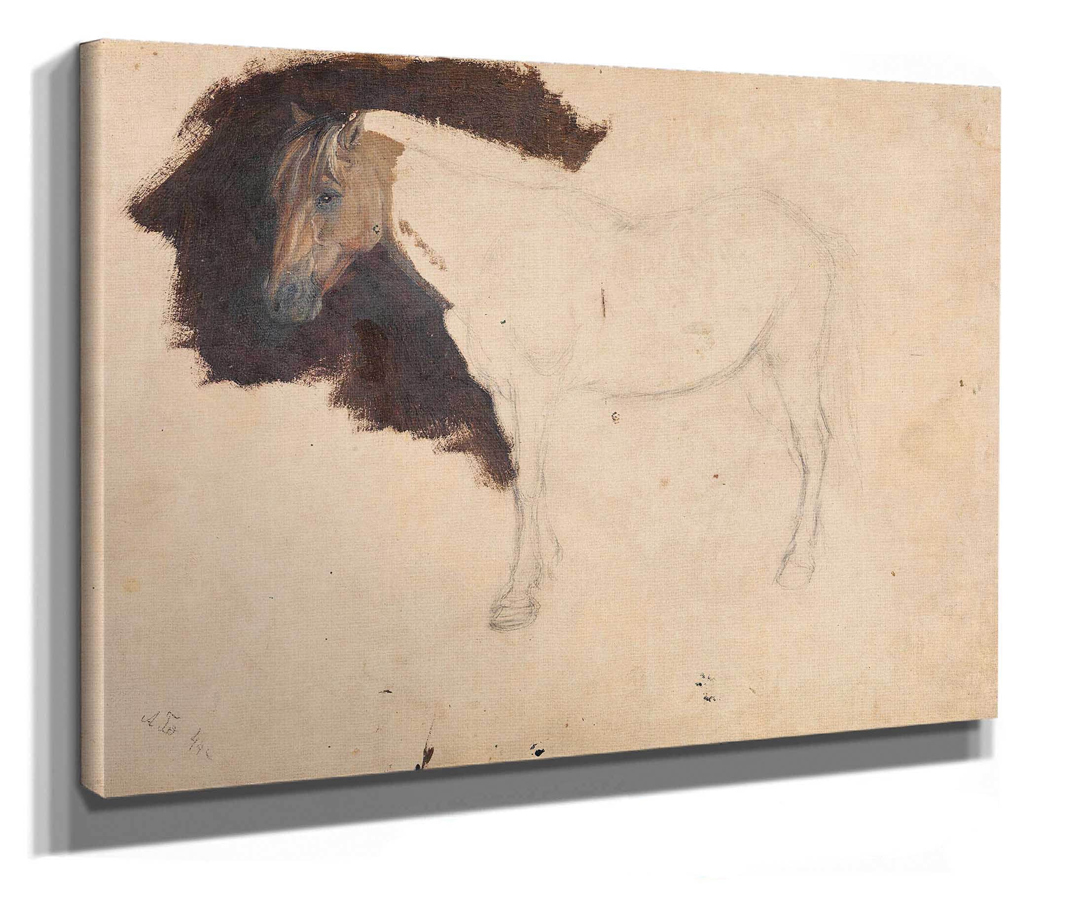 Study Of A Horse by Adolph Tidemand