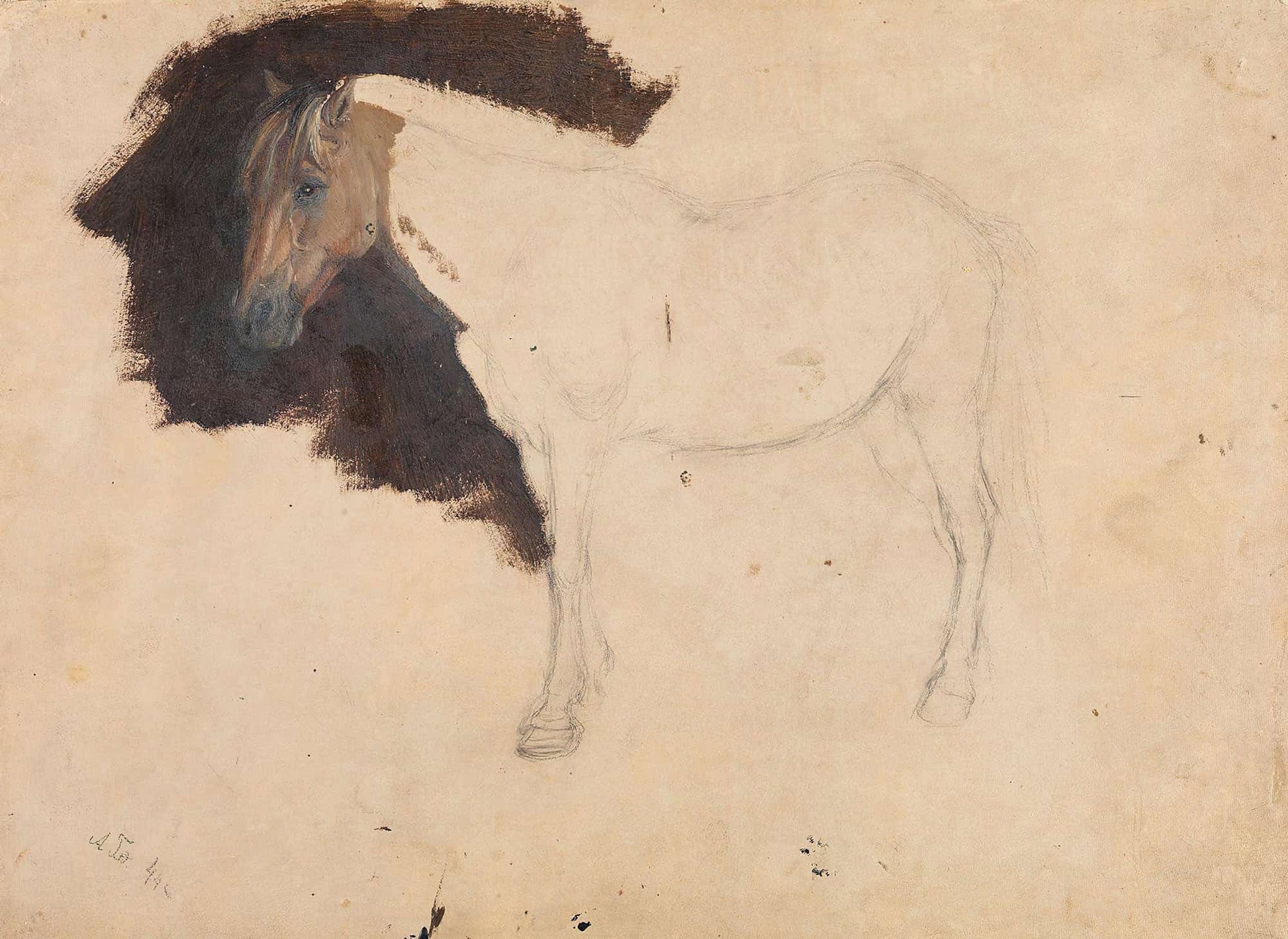 Study Of A Horse by Adolph Tidemand