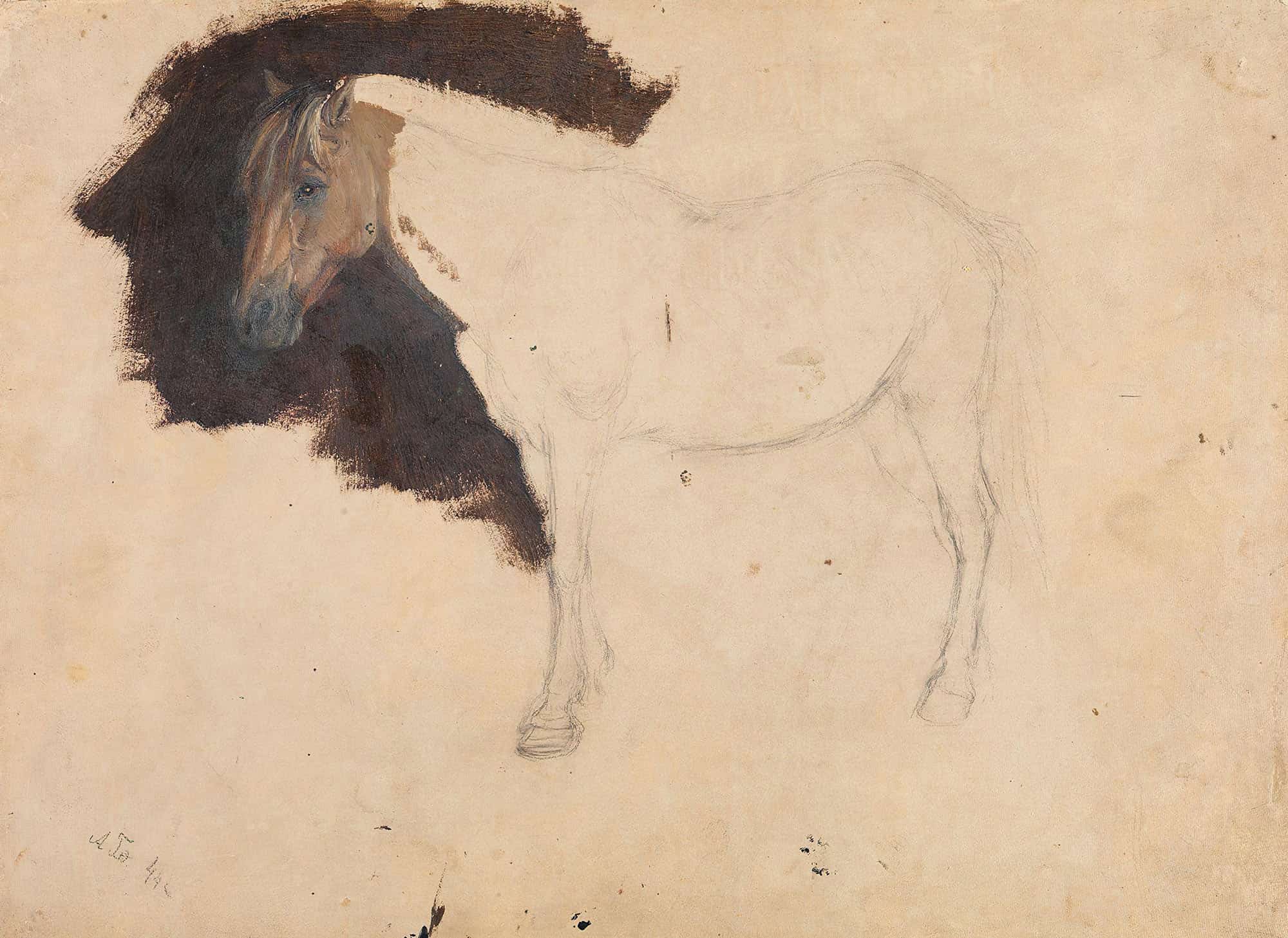 Study Of A Horse by Adolph Tidemand