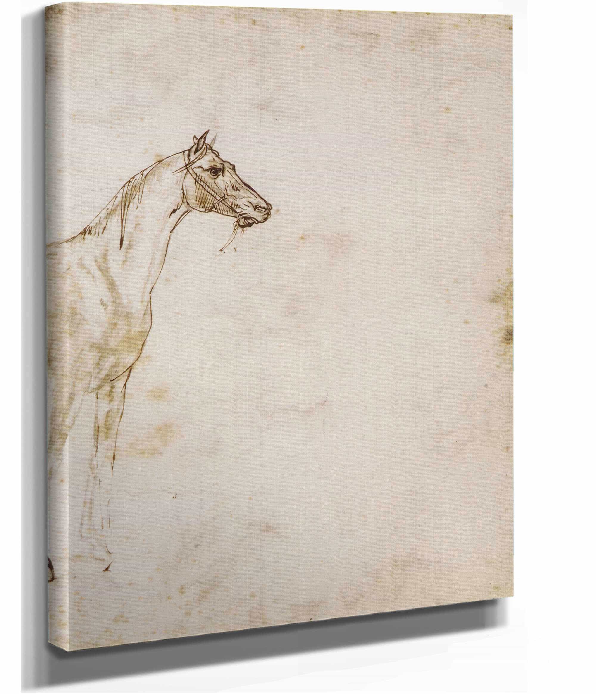 Study Of A Horse   by Theodore Gericault