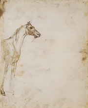 Study Of A Horse   by Theodore Gericault