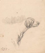 Study Of A Hound Head And Shoulders Facing Right by George Morland