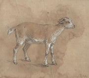 Study Of A Kid by James Ward