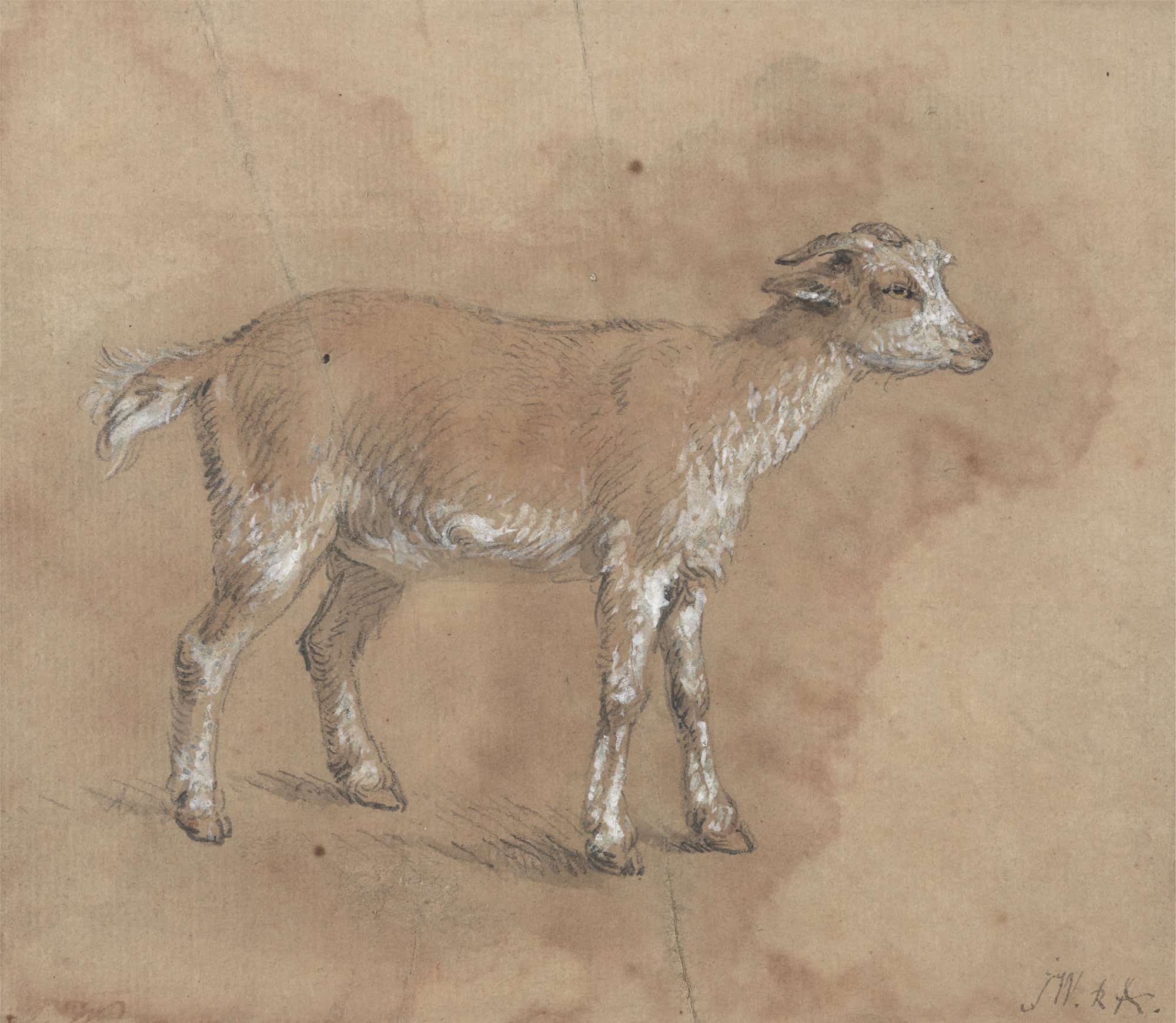 Study Of A Kid by James Ward