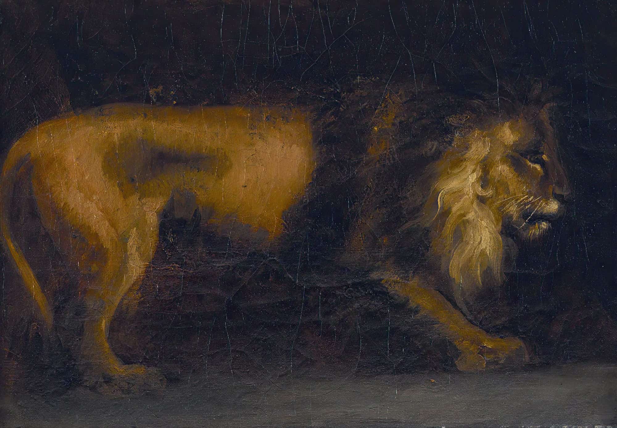 Study Of A Lion by Theodore Gericault