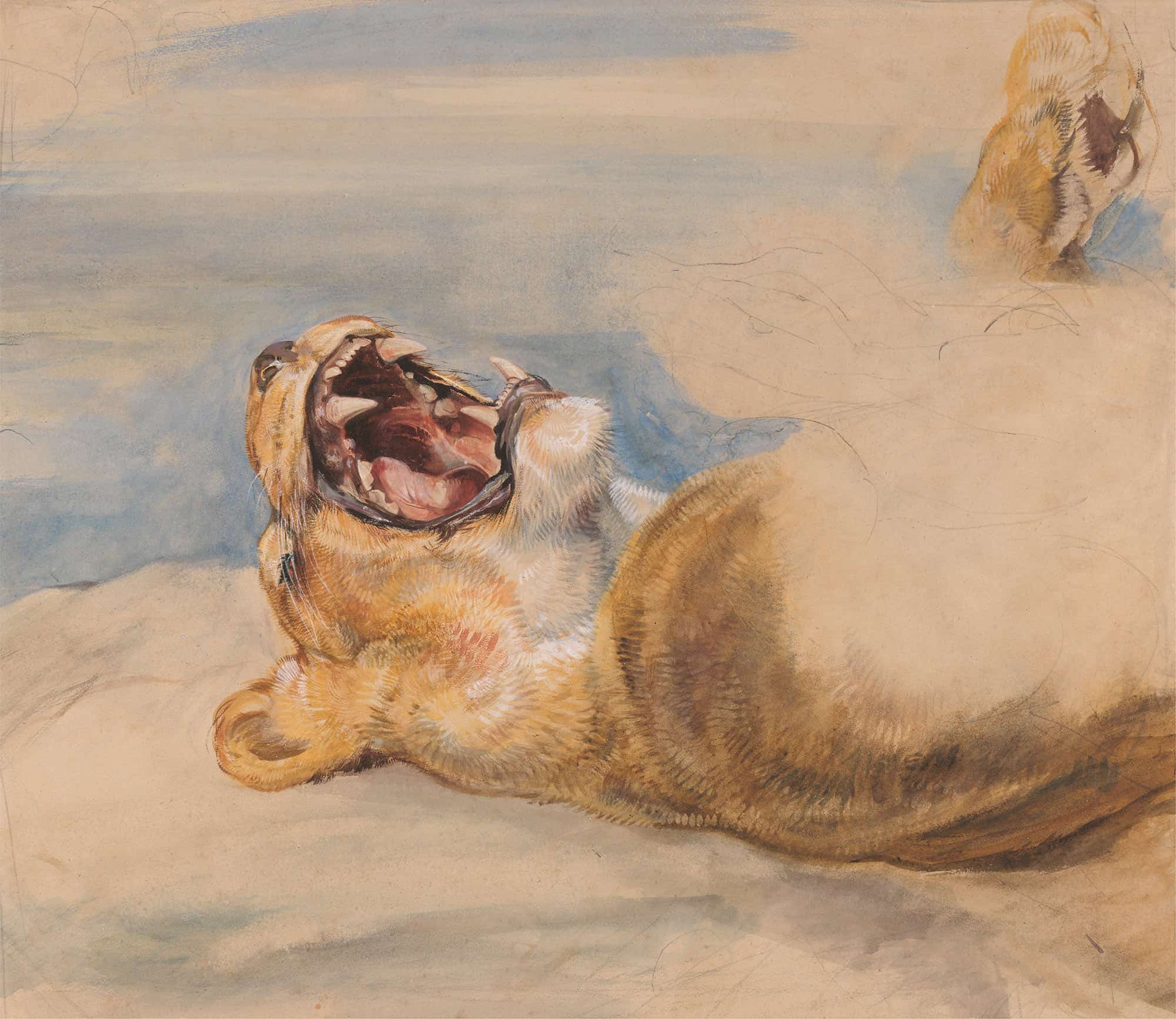 Study Of A Lioness by John Frederick Lewis