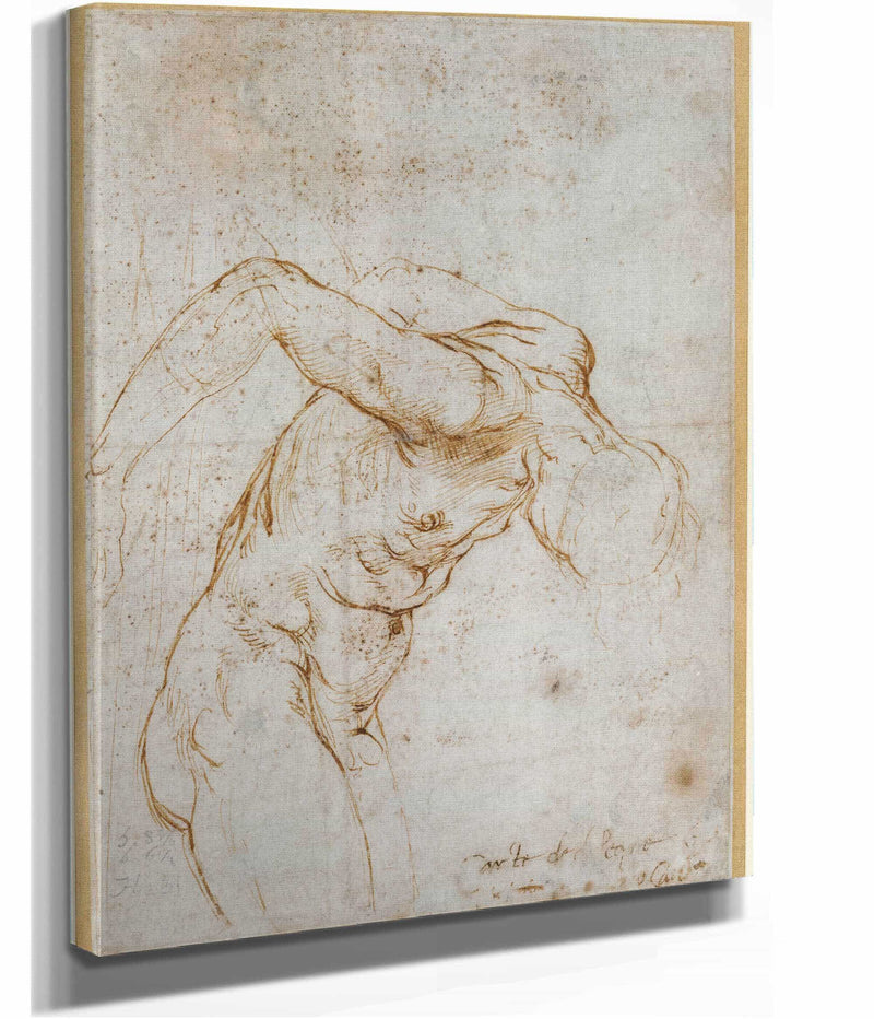 Study Of A Nude Male Figure   by Raphael