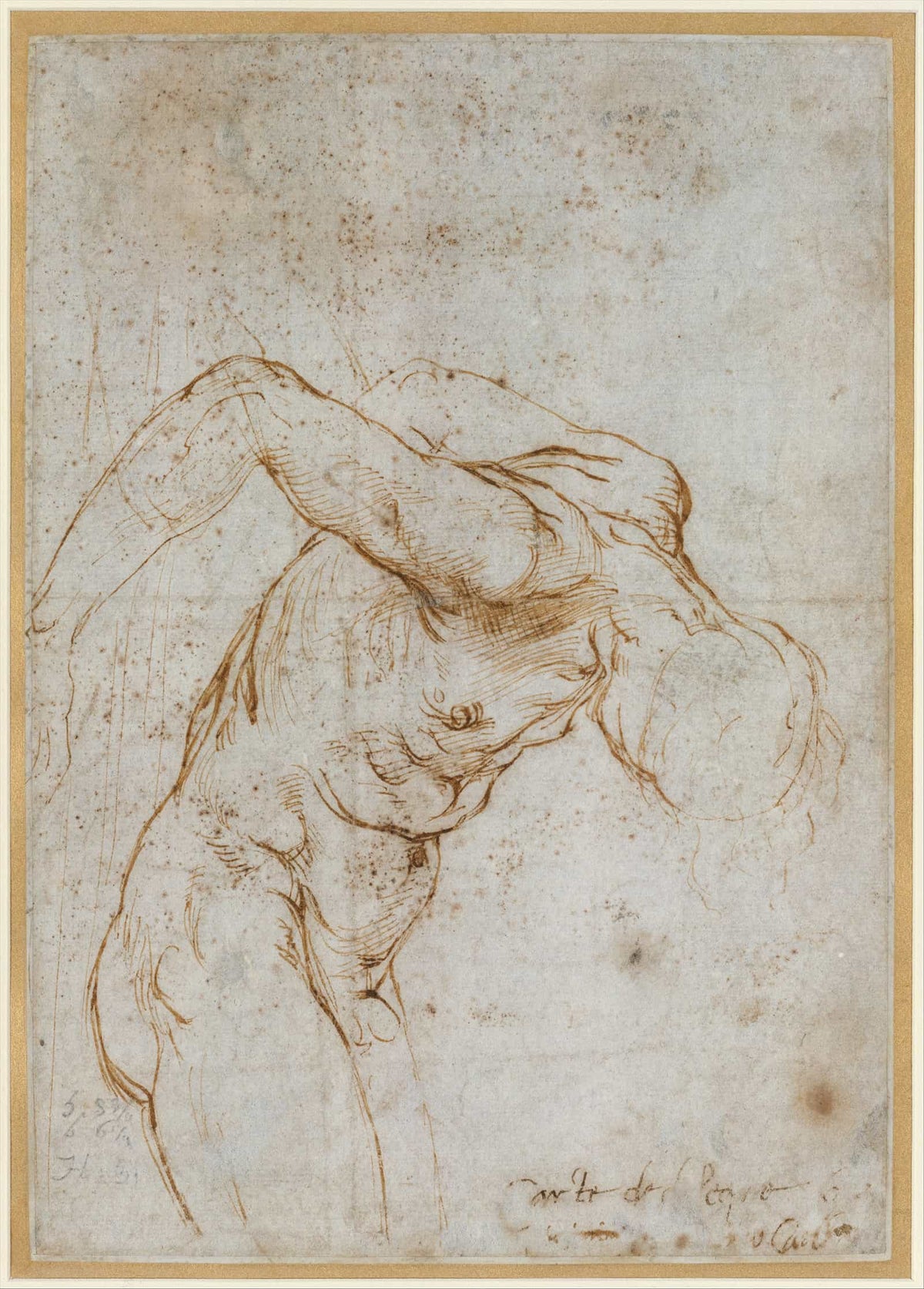 Study Of A Nude Male Figure   by Raphael