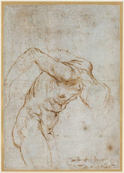 Study Of A Nude Male Figure   by Raphael