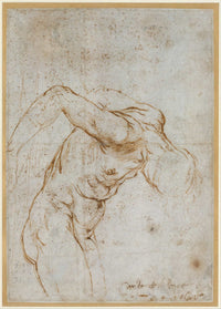 Study Of A Nude Male Figure   by Raphael
