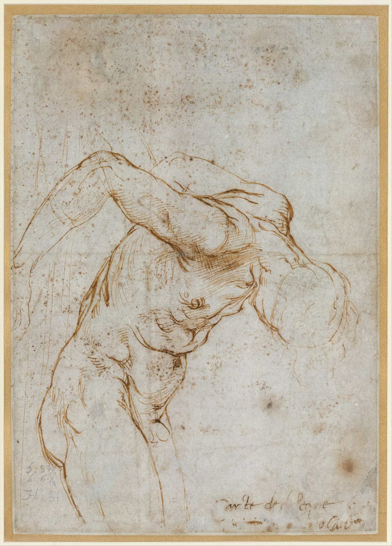 Study Of A Nude Male Figure   by Raphael