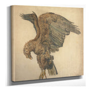 Study Of A Plunging Eagle by James Ward