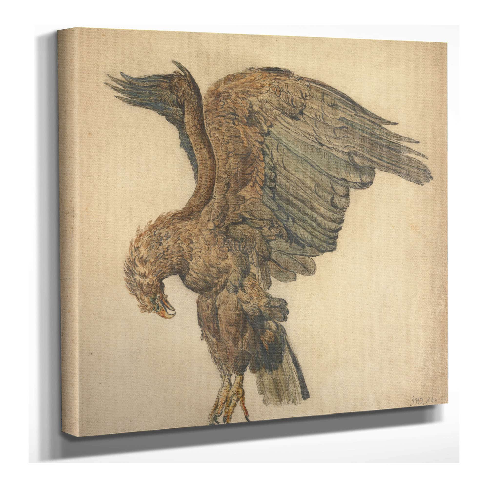 Study Of A Plunging Eagle by James Ward