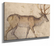 Study Of A Stag About  by Lucas Cranach The Elder