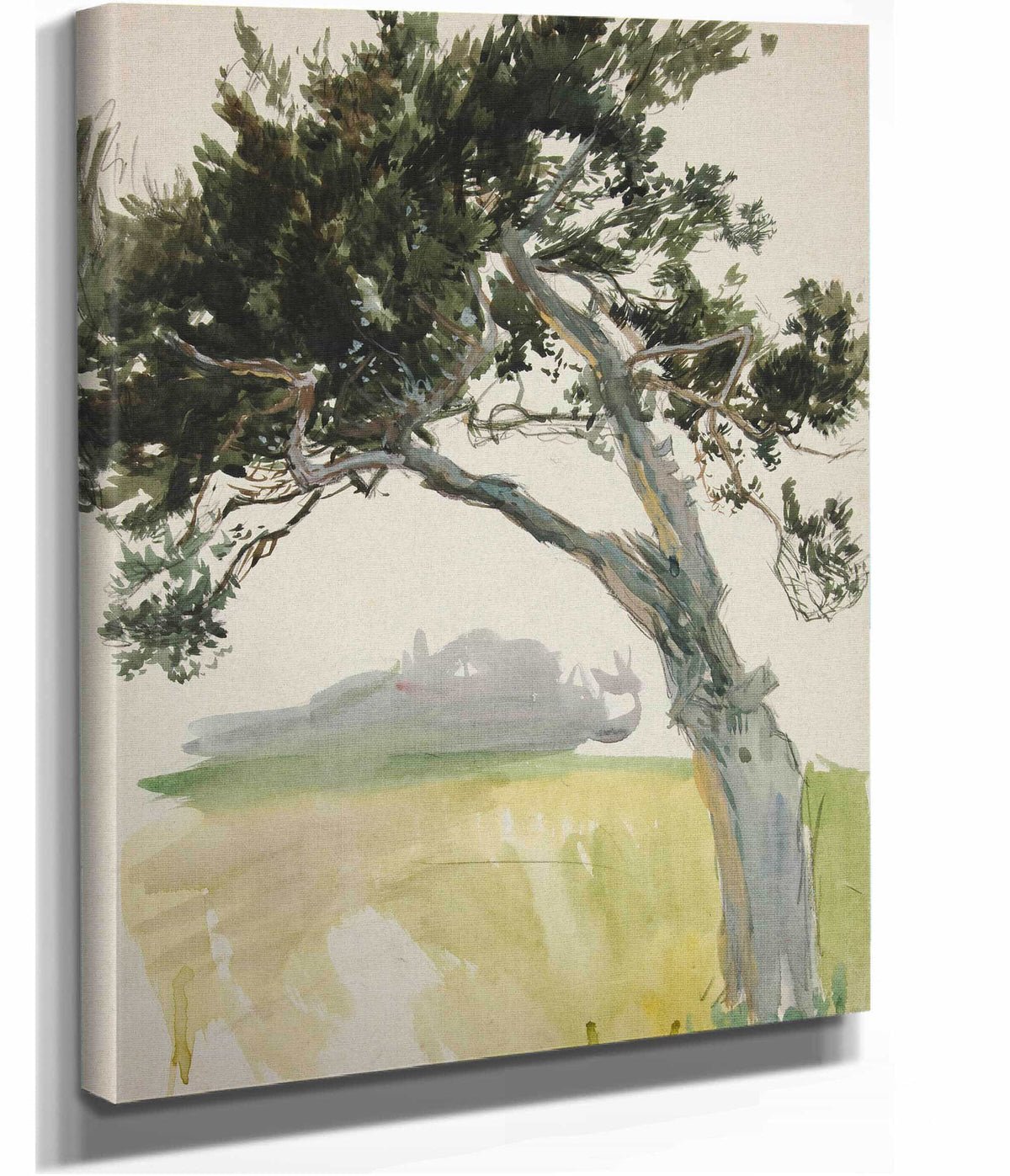 Study Of A Tree And Field by Edwin Austin Abbey