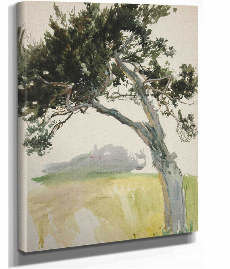 Study Of A Tree And Field by Edwin Austin Abbey