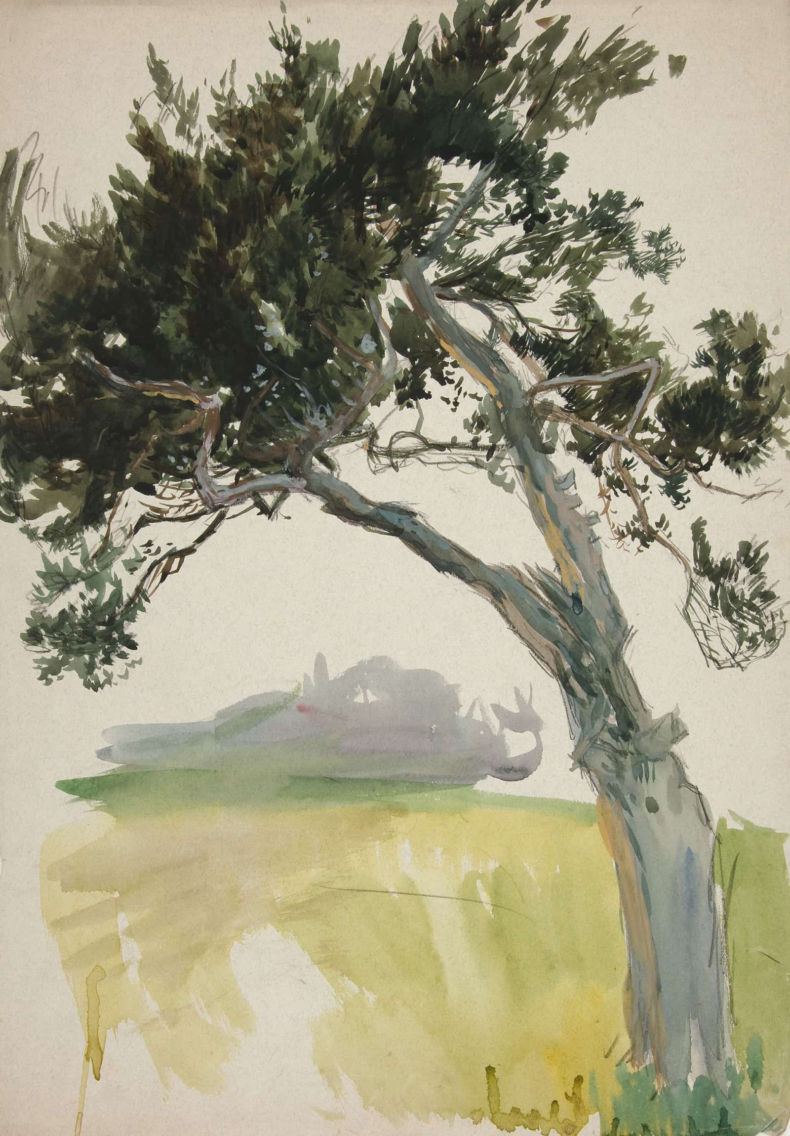Study Of A Tree And Field by Edwin Austin Abbey