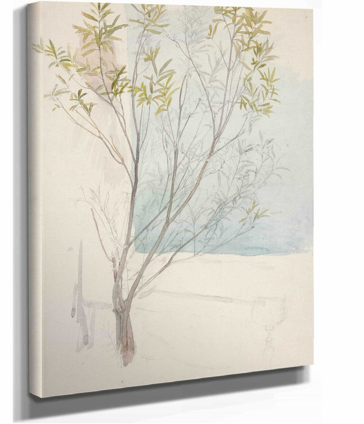 Study Of A Tree by Edwin Austin Abbey