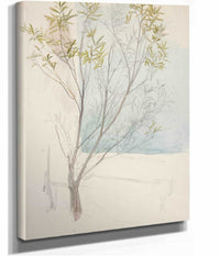 Study Of A Tree by Edwin Austin Abbey
