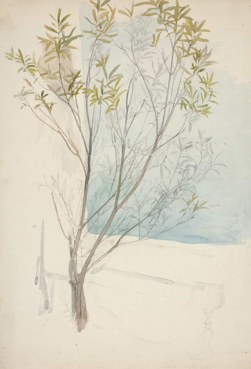 Study Of A Tree by Edwin Austin Abbey