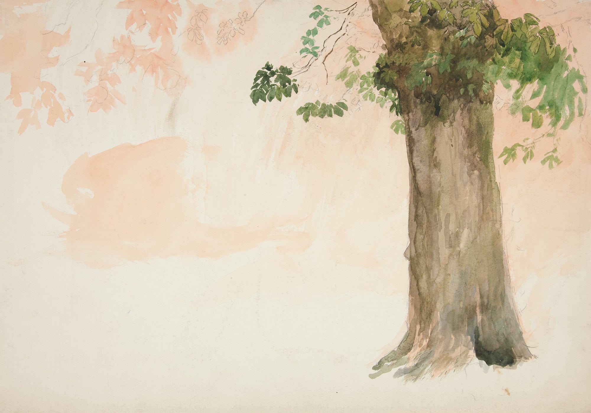 Study Of A Tree Trunk by Edwin Austin Abbey