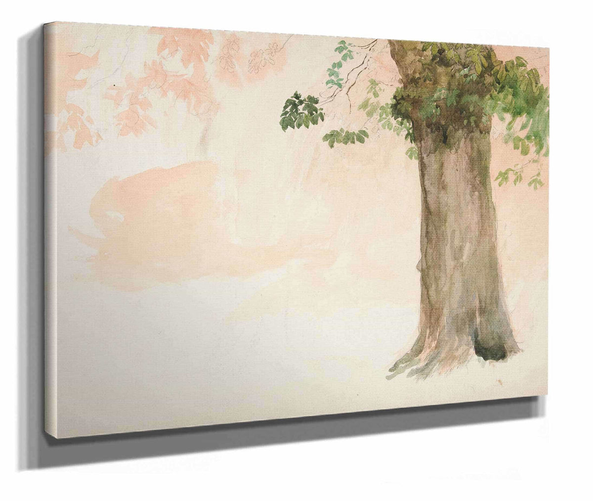 Study Of A Tree Trunk by Edwin Austin Abbey