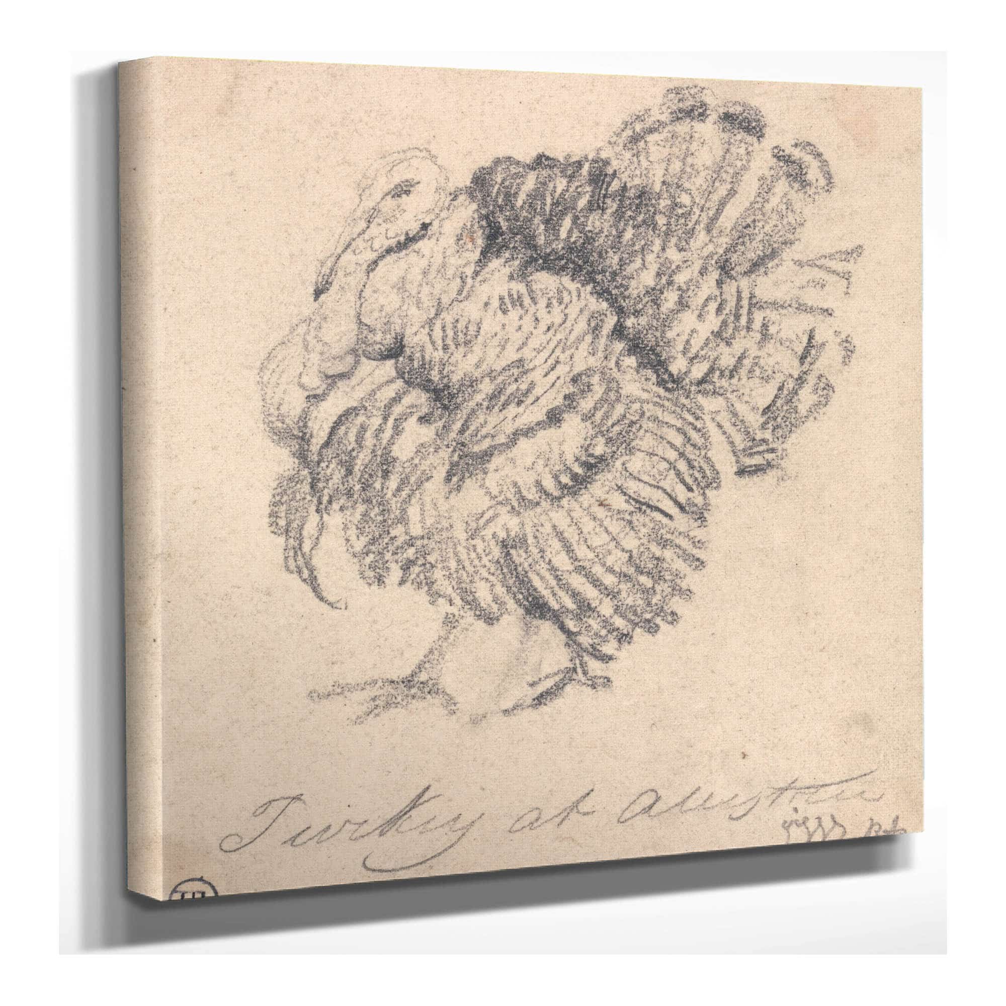 Study Of A Turkey by James Ward