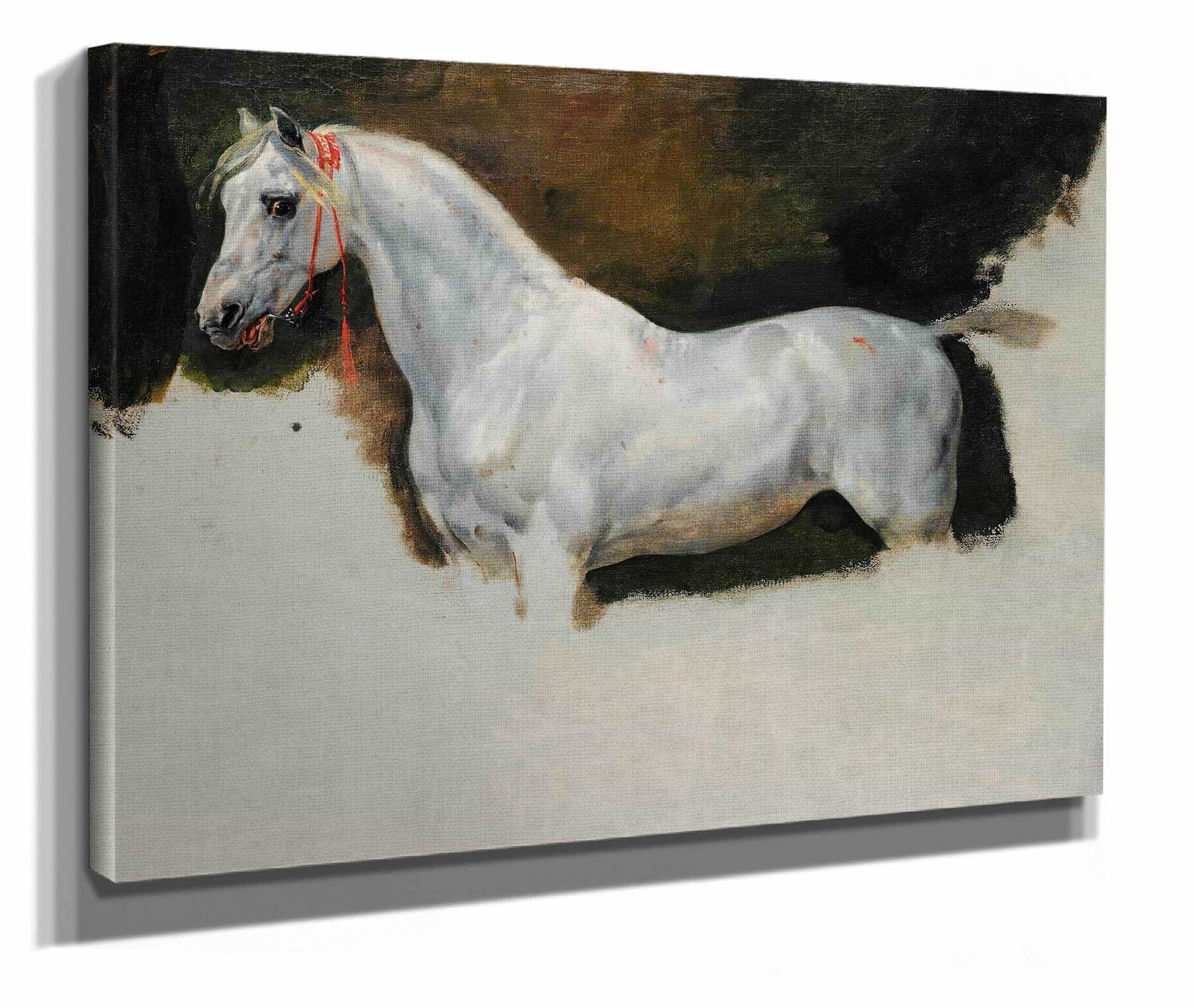 Study Of A White Horse by Horace Vernet