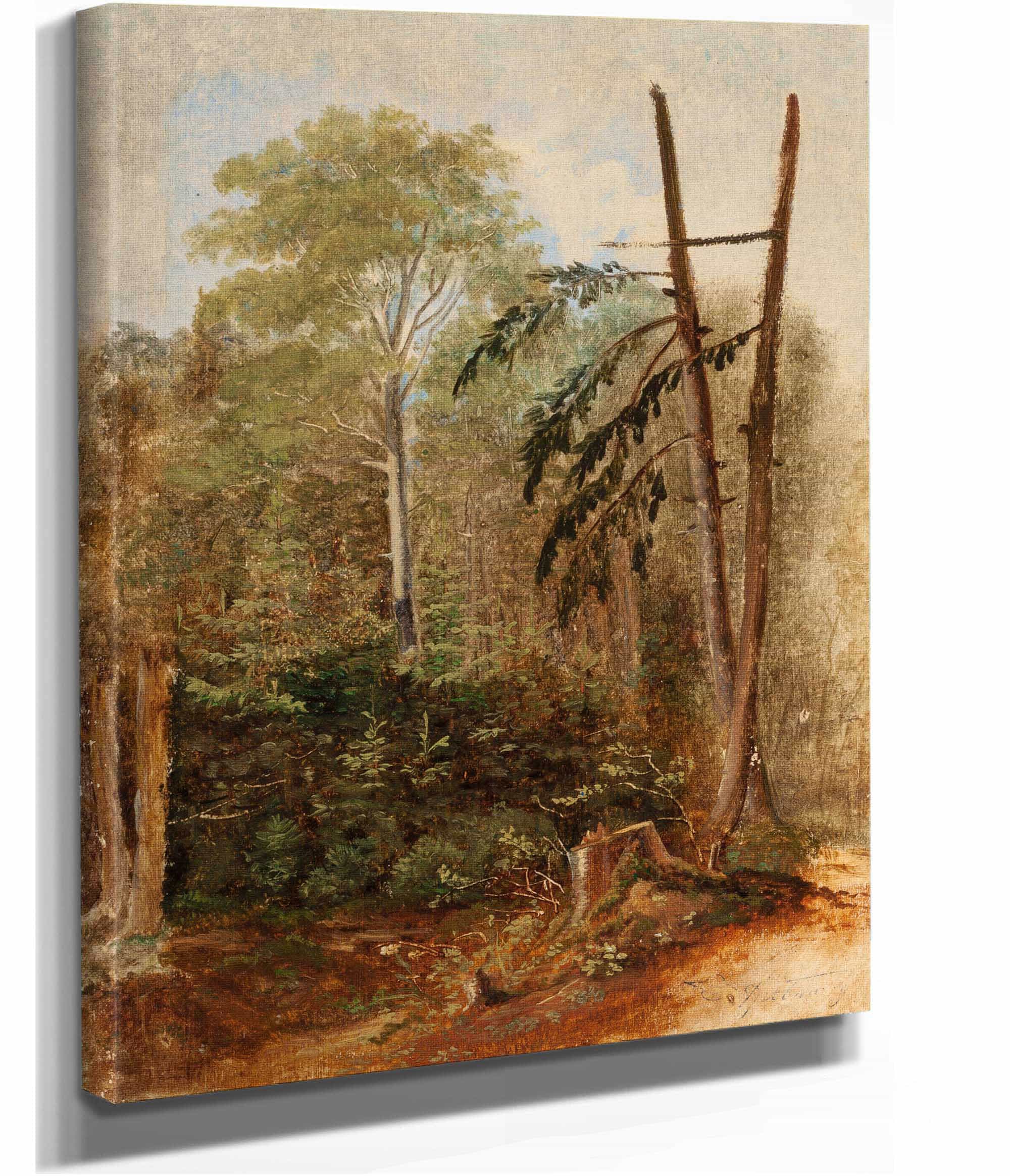 Study Of A Woodland Landscape by Carl Spitzweg