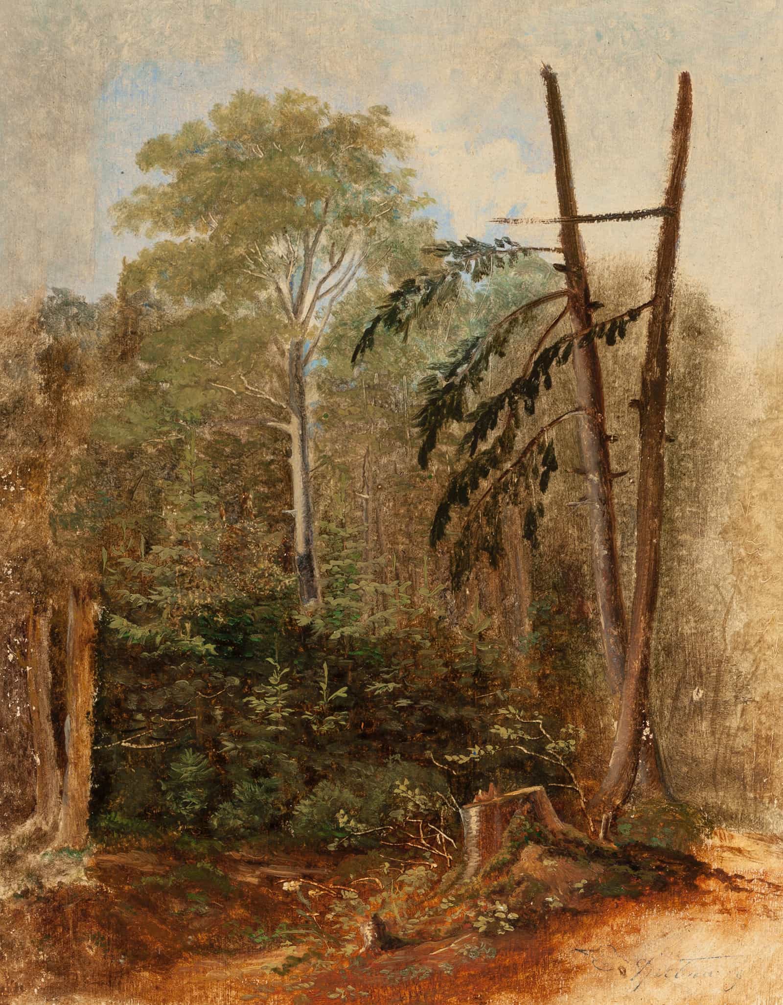 Study Of A Woodland Landscape by Carl Spitzweg