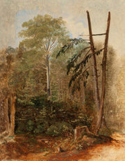 Study Of A Woodland Landscape by Carl Spitzweg