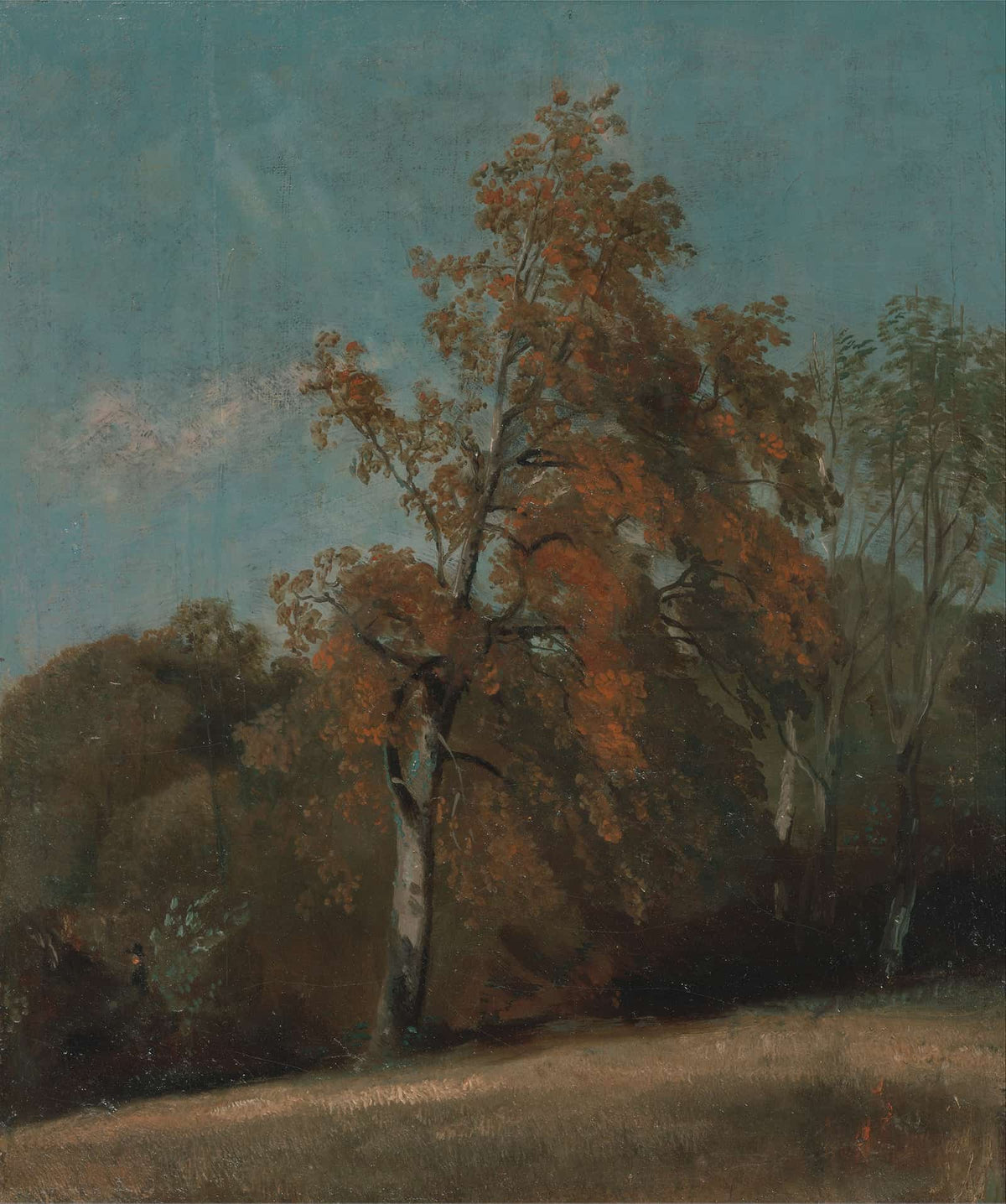 Study Of An Ash Tree by John Constable