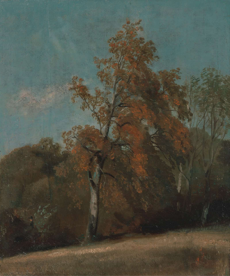 Study Of An Ash Tree by John Constable