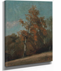 Study Of An Ash Tree by John Constable