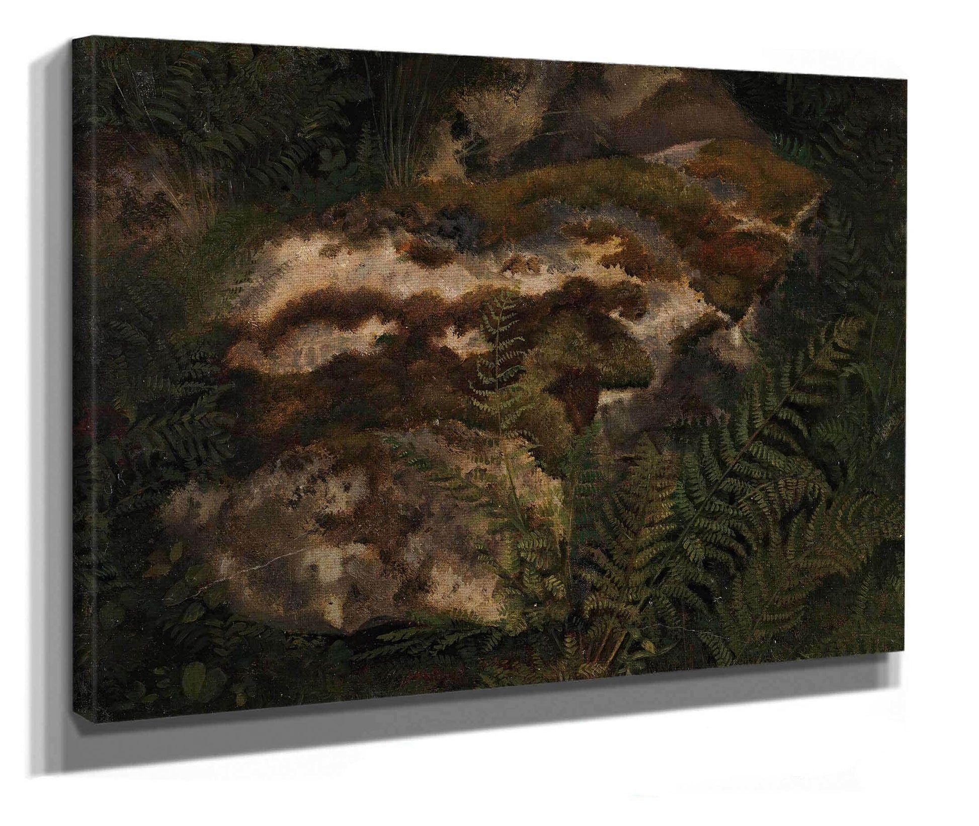 Study Of An Moss Covered Stone And Ferns by Adolph Tidemand