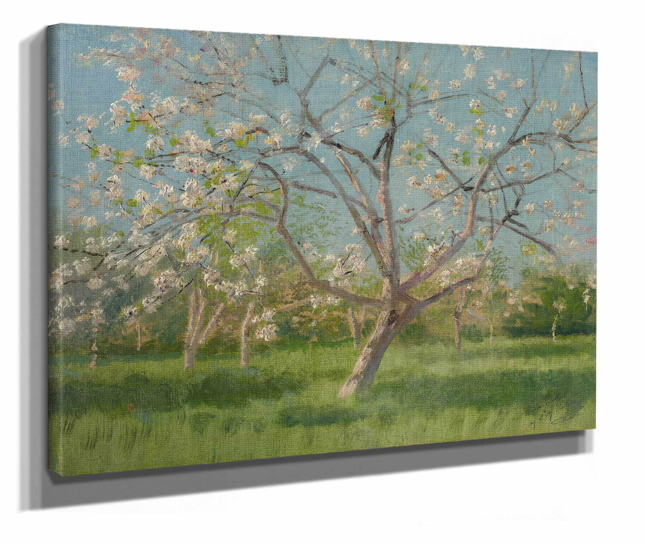 Study Of Blooming Trees In An Orchard  by Ladislav Mednyanszky
