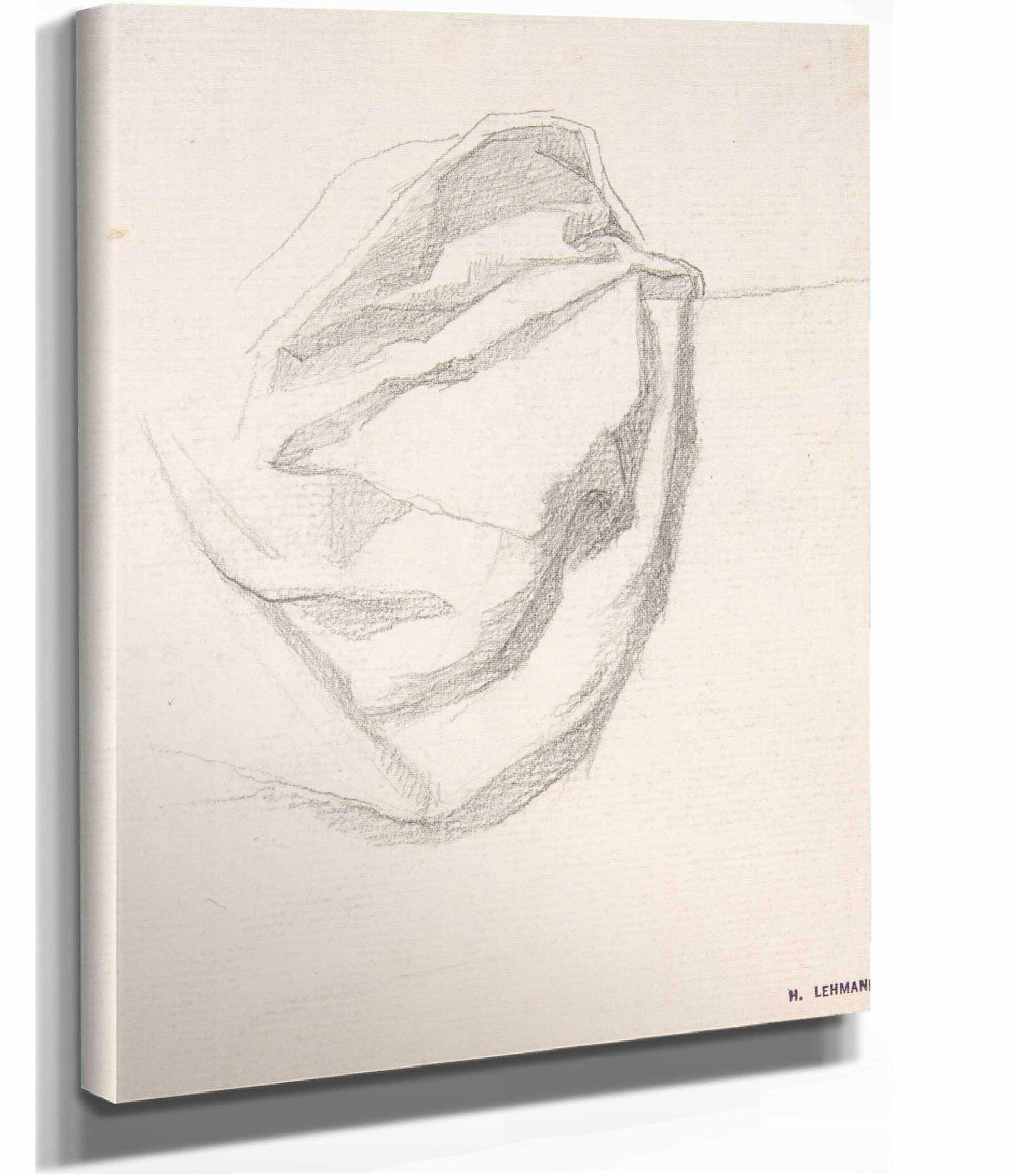 Study Of Drapery by Henri Lehmann